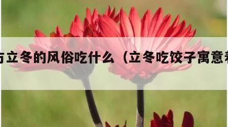 北方立冬的风俗吃什么（立冬吃饺子寓意着什么）