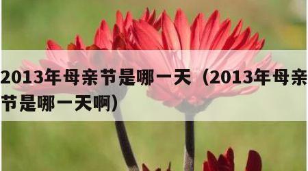 2013年母亲节是哪一天（2013年母亲节是哪一天啊）