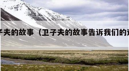 卫子夫的故事（卫子夫的故事告诉我们的道理）