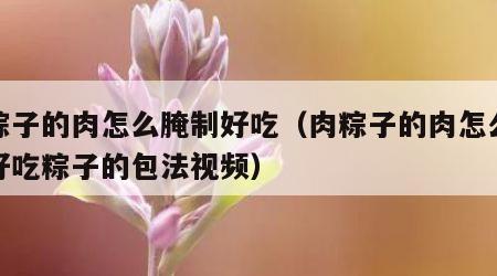 肉粽子的肉怎么腌制好吃（肉粽子的肉怎么腌制好吃粽子的包法视频）