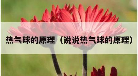热气球的原理（说说热气球的原理）