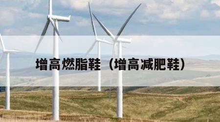 增高燃脂鞋（增高减肥鞋）