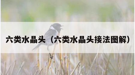 六类水晶头（六类水晶头接法图解）