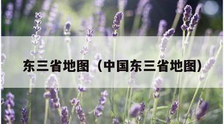 东三省地图（中国东三省地图）