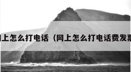 网上怎么打电话（网上怎么打电话费发票）