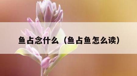 鱼占念什么（鱼占鱼怎么读）
