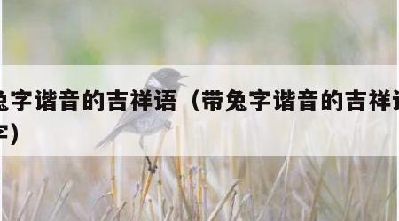 带兔字谐音的吉祥语（带兔字谐音的吉祥语七个字）