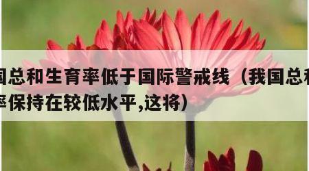我国总和生育率低于国际警戒线（我国总和生育率保持在较低水平,这将）