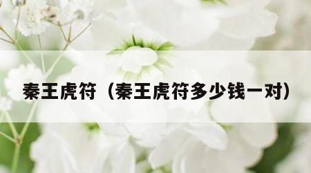 秦王虎符（秦王虎符多少钱一对）