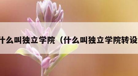 什么叫独立学院（什么叫独立学院转设）