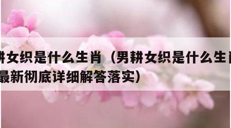 男耕女织是什么生肖（男耕女织是什么生肖数字,最新彻底详细解答落实）