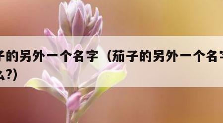 茄子的另外一个名字（茄子的另外一个名字叫什么?）
