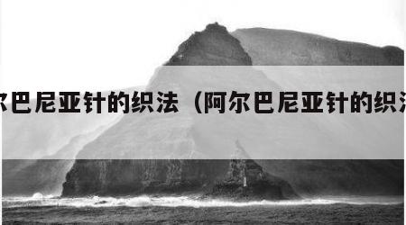 阿尔巴尼亚针的织法（阿尔巴尼亚针的织法教程）