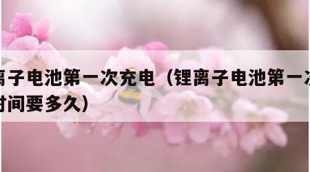 锂离子电池第一次充电（锂离子电池第一次充电时间要多久）