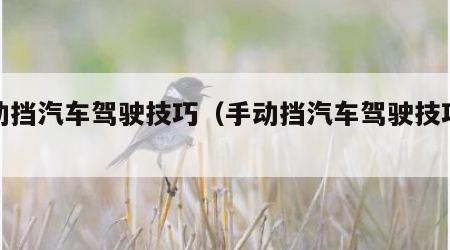 手动挡汽车驾驶技巧（手动挡汽车驾驶技巧书籍）
