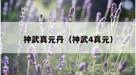 神武真元丹（神武4真元）