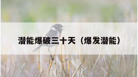 潜能爆破三十天（爆发潜能）