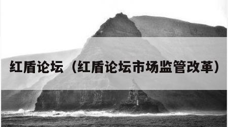 红盾论坛（红盾论坛市场监管改革）