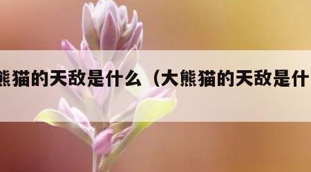 大熊猫的天敌是什么（大熊猫的天敌是什么?）