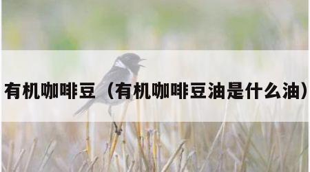 有机咖啡豆（有机咖啡豆油是什么油）