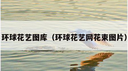 环球花艺图库（环球花艺网花束图片）