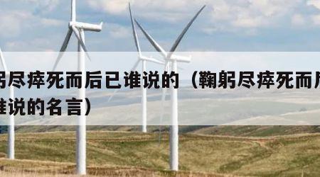 鞠躬尽瘁死而后已谁说的（鞠躬尽瘁死而后已是谁说的名言）