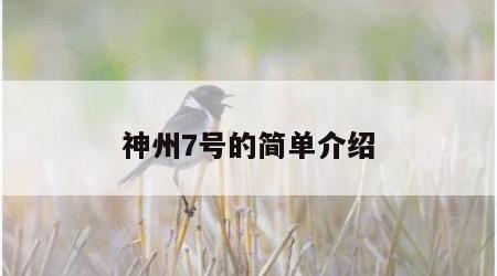 神州7号的简单介绍