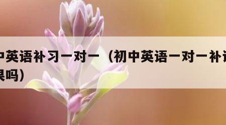 初中英语补习一对一（初中英语一对一补课有效果吗）