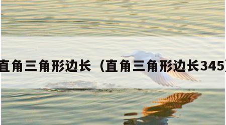 直角三角形边长（直角三角形边长345）