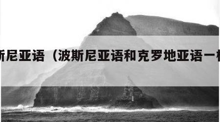 波斯尼亚语（波斯尼亚语和克罗地亚语一样吗）