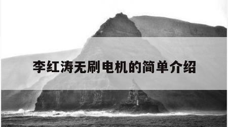 李红涛无刷电机的简单介绍