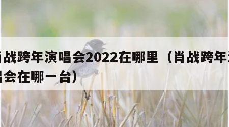 肖战跨年演唱会2022在哪里（肖战跨年演唱会在哪一台）
