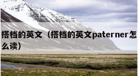 搭档的英文（搭档的英文paterner怎么读）