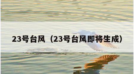 23号台风（23号台风即将生成）