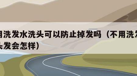 不用洗发水洗头可以防止掉发吗（不用洗发水洗头发会怎样）