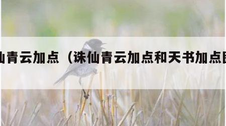 诛仙青云加点（诛仙青云加点和天书加点图解）