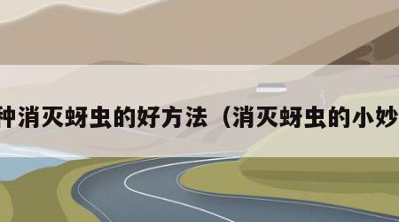 一种消灭蚜虫的好方法（消灭蚜虫的小妙招）