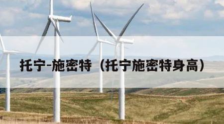 托宁-施密特（托宁施密特身高）