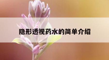 隐形透视药水的简单介绍