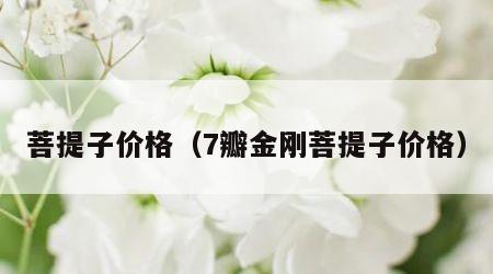 菩提子价格（7瓣金刚菩提子价格）