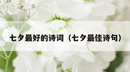 七夕最好的诗词（七夕最佳诗句）