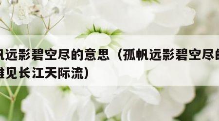 孤帆远影碧空尽的意思（孤帆远影碧空尽的意思唯见长江天际流）