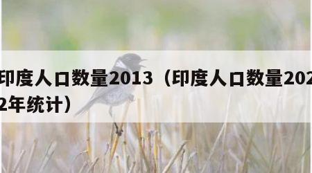 印度人口数量2013（印度人口数量2022年统计）