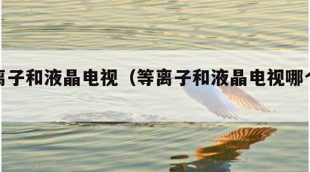 等离子和液晶电视（等离子和液晶电视哪个更贵）