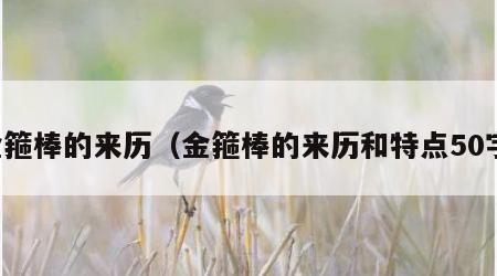 金箍棒的来历（金箍棒的来历和特点50字）