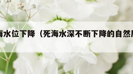 死海水位下降（死海水深不断下降的自然原因）
