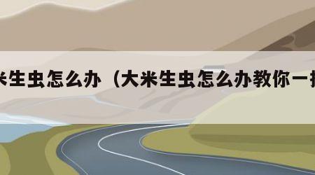 大米生虫怎么办（大米生虫怎么办教你一招搞定）