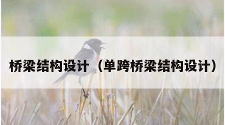桥梁结构设计（单跨桥梁结构设计）