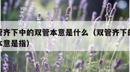 双管齐下中的双管本意是什么（双管齐下的双管本意是指）
