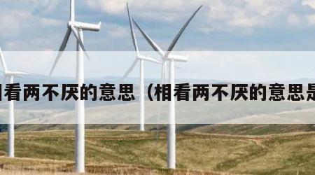 相看两不厌的意思（相看两不厌的意思是）